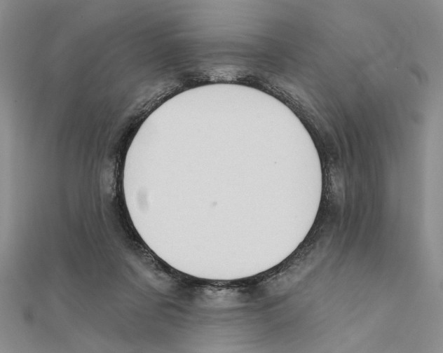 X0000111380311200908071240