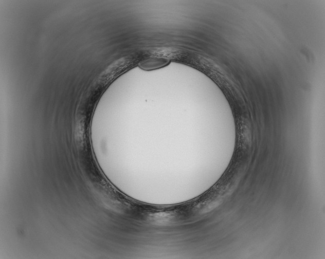 X0000111380312200908071240