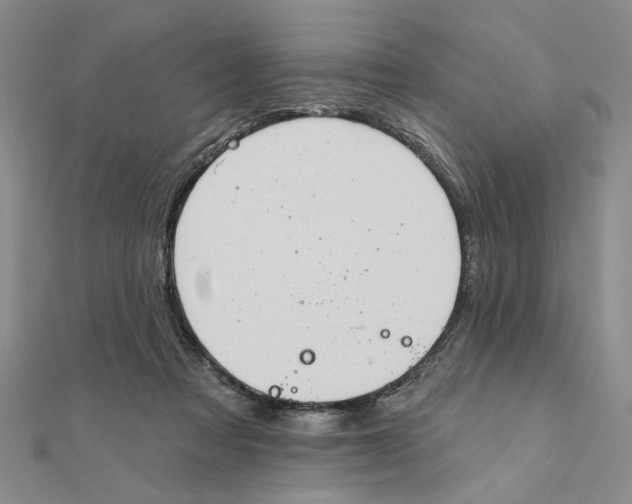 X0000111380313200908071240