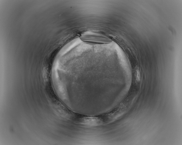 X0000111380316200908071240