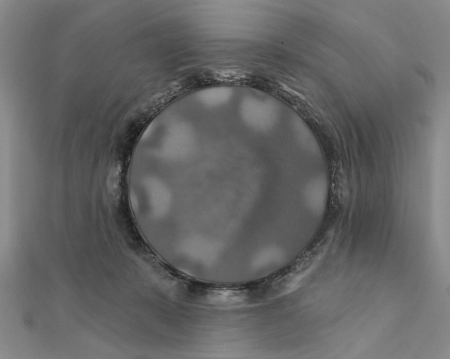 X0000111380319200908071240