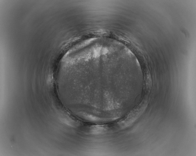 X0000111380320200908071240