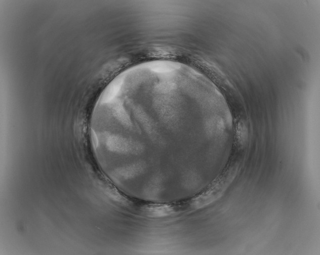 X0000111380322200908071240