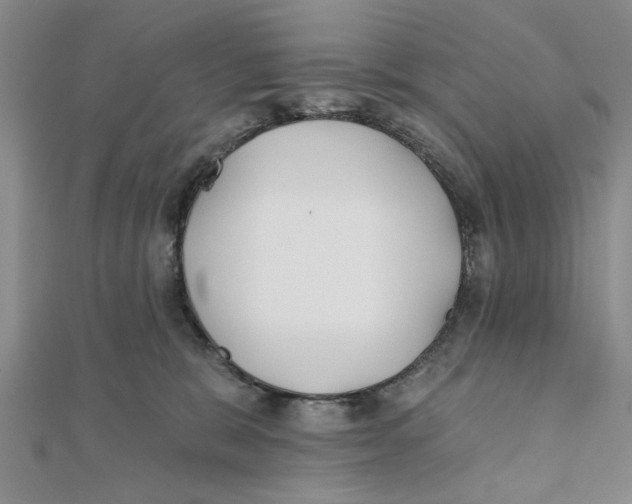 X0000111380327200908071240