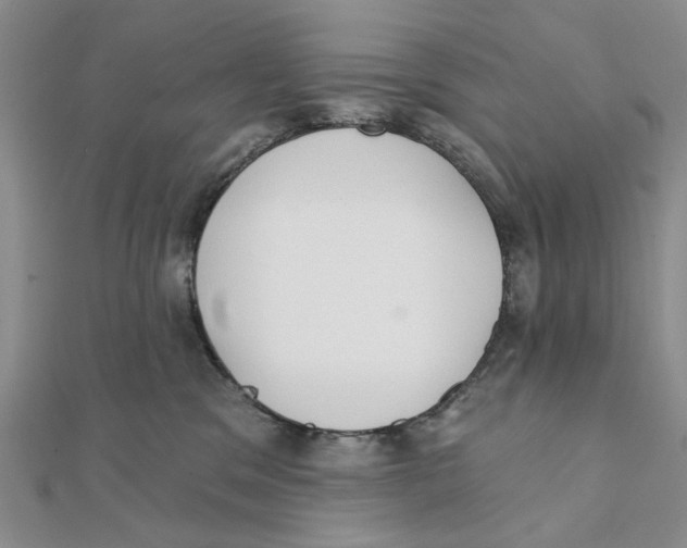 X0000111380329200908071240