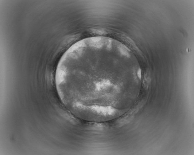 X0000111380330200908071240