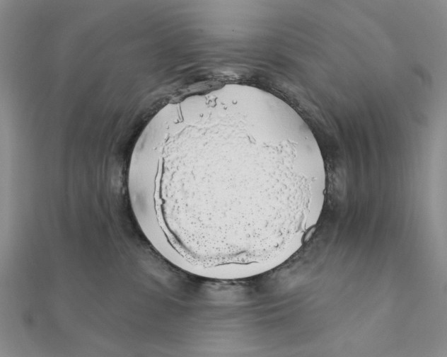 X0000111380331200908071240