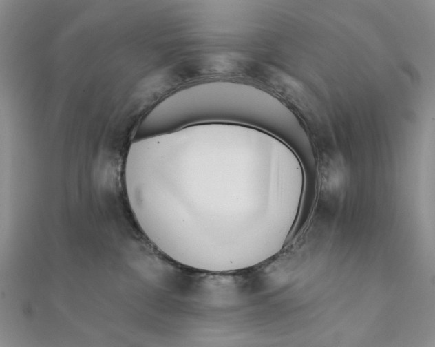 X0000111380332200908071240