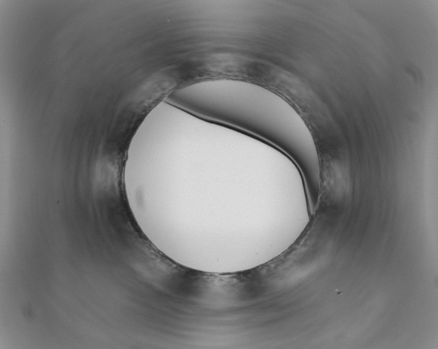 X0000111380333200908071240