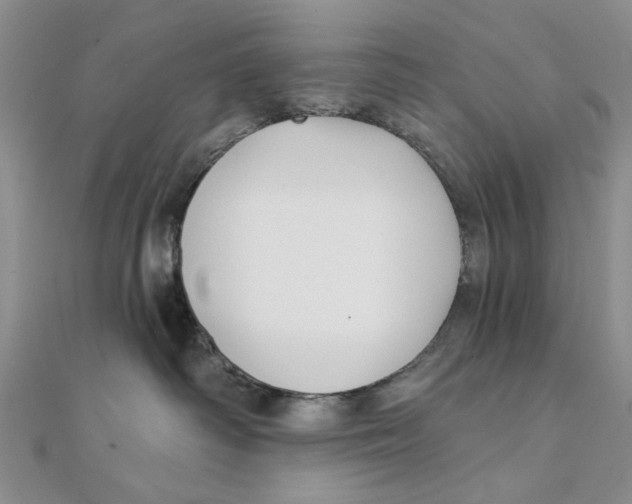 X0000111380334200908071240