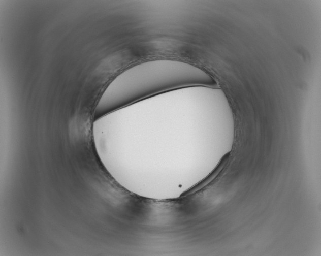 X0000111380336200908071240