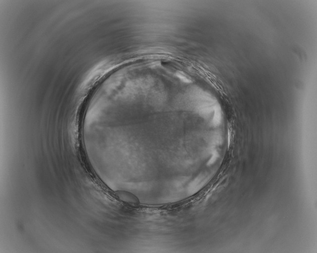 X0000111380339200908071239