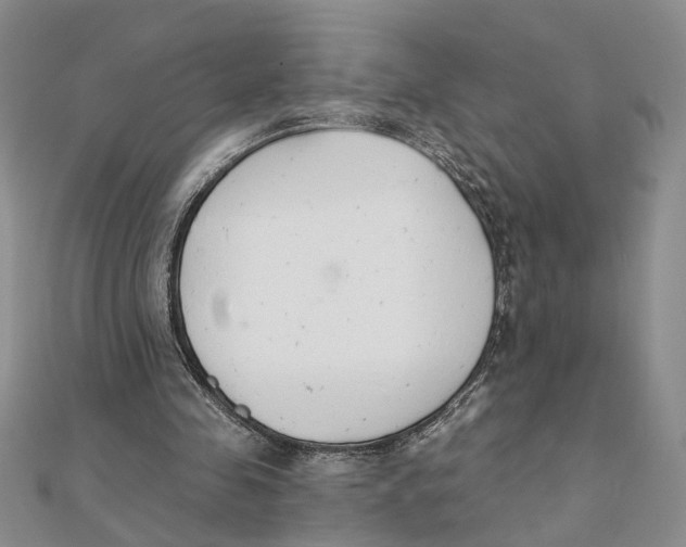 X0000111380341200908071239