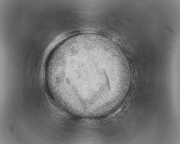 X0000111380343200908071239