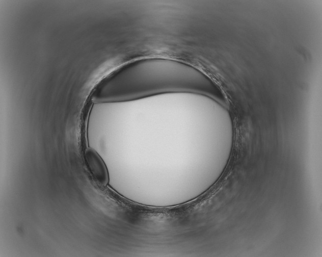 X0000111380344200908071239