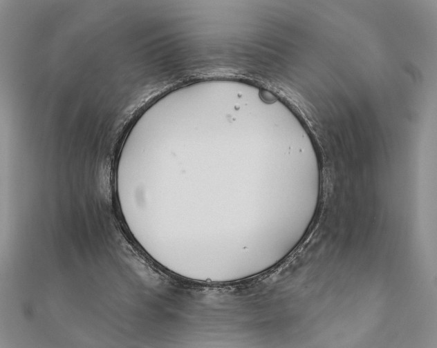 X0000111380345200908071239