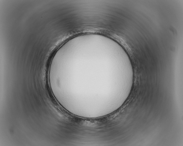 X0000111380346200908071239