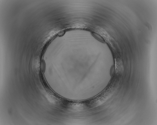 X0000111380348200908071239