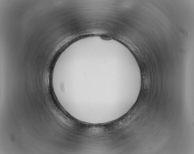 X0000111380350200908071239