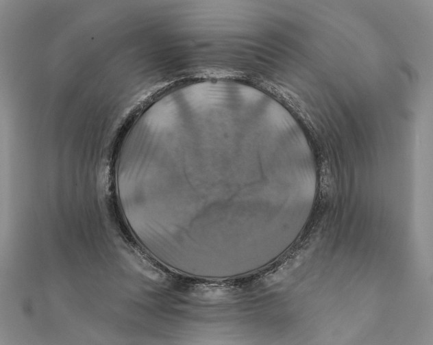 X0000111380351200908071239