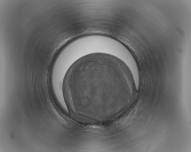 X0000111380352200908071239