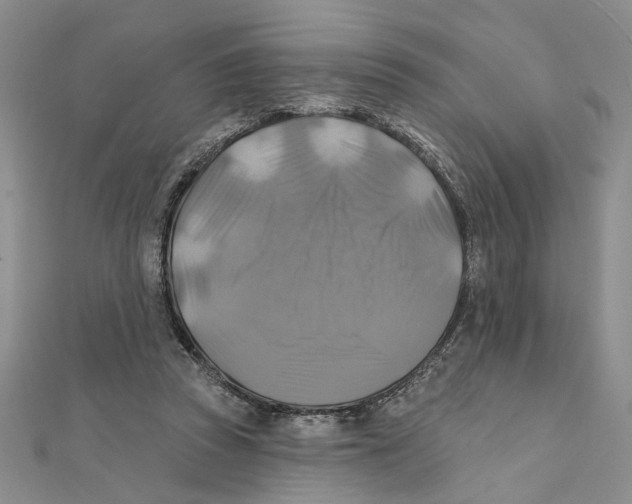 X0000111380353200908071239