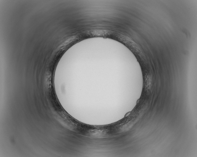 X0000111380356200908071239