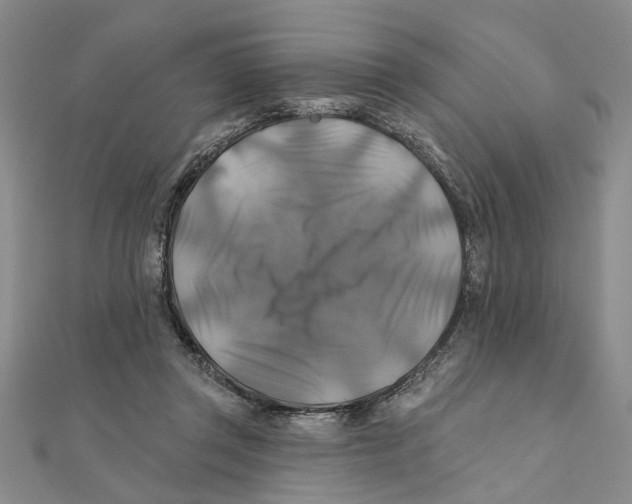 X0000111380357200908071239