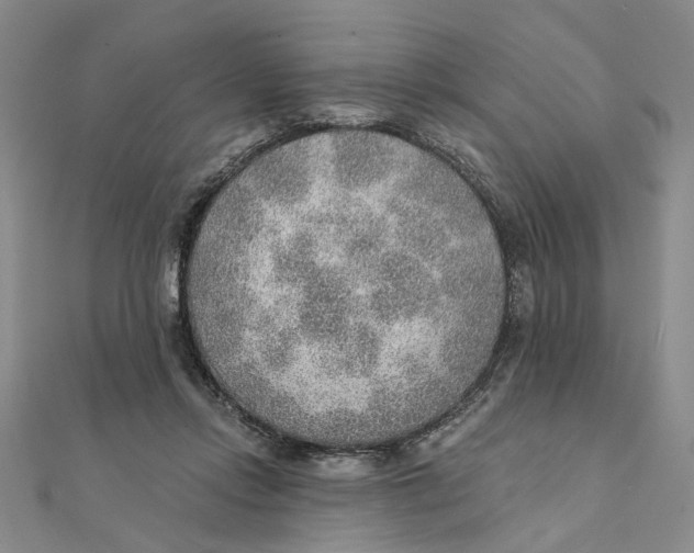 X0000111380358200908071239