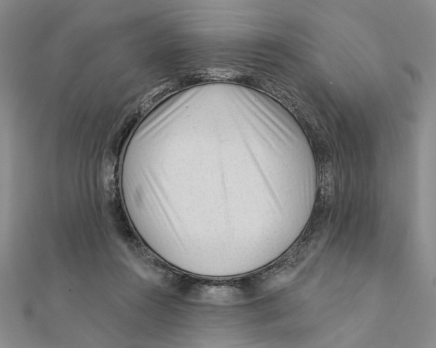 X0000111380360200908071239