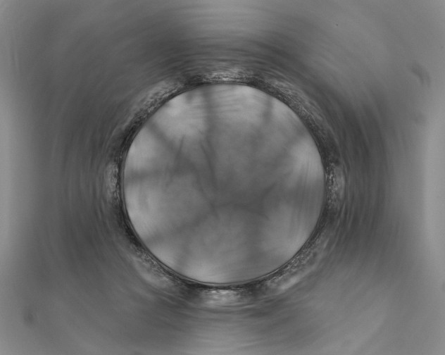 X0000111380361200908071239