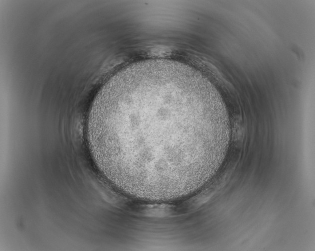 X0000111380363200908071240