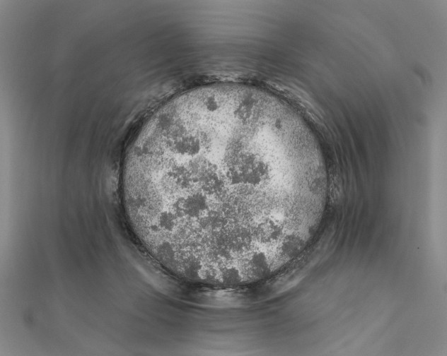 X0000111380365200908071240