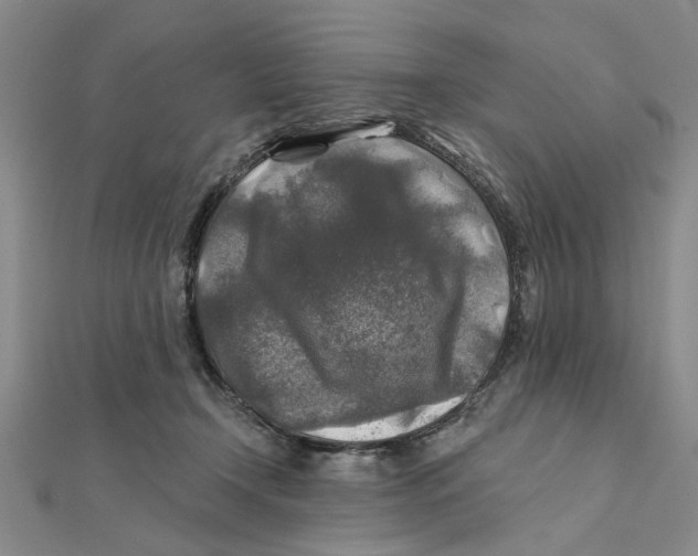 X0000111380366200908071240