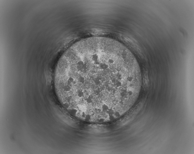 X0000111380367200908071240