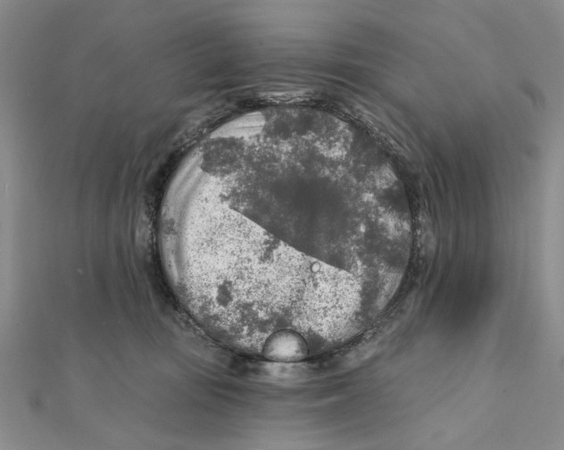 X0000111380371200908071240