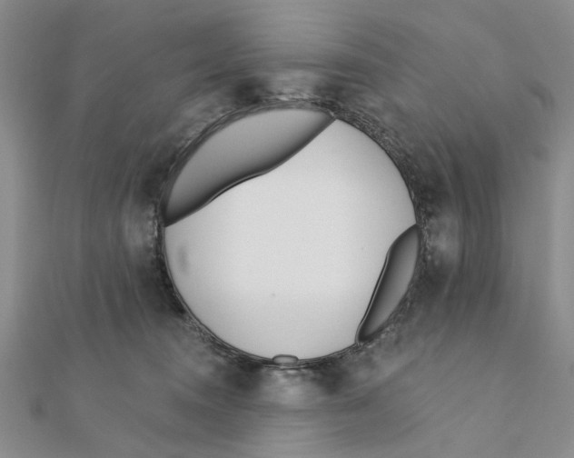 X0000111380372200908071240