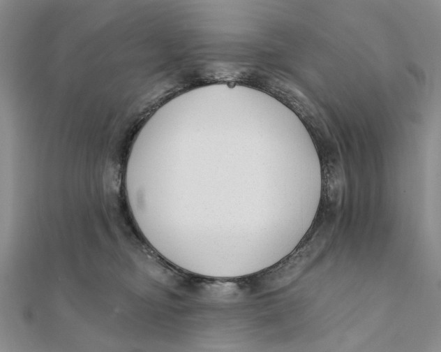 X0000111380374200908071240