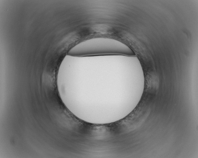 X0000111380376200908071240