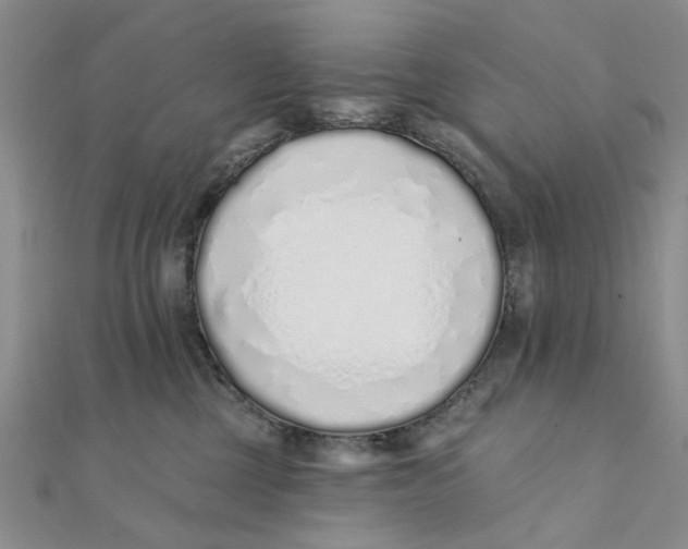 X0000111380377200908071240