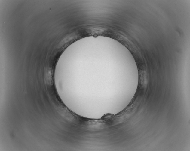 X0000111380378200908071240