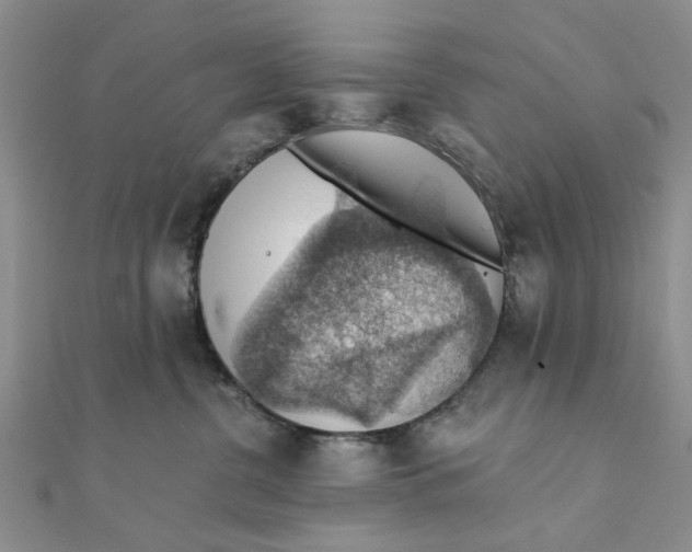 X0000111380380200908071240