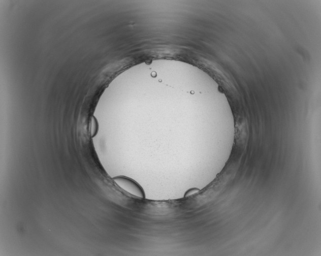 X0000111380381200908071240