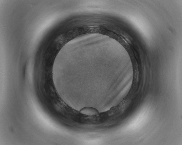 X0000111380383200908071240