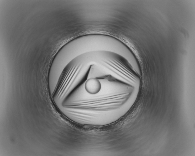 X0000111380385200908071239