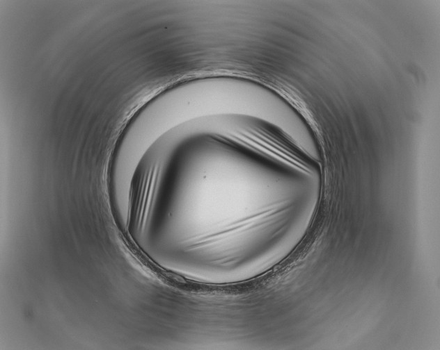 X0000111380389200908071239