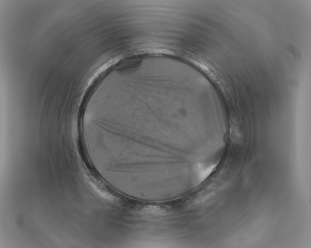 X0000111380390200908071239