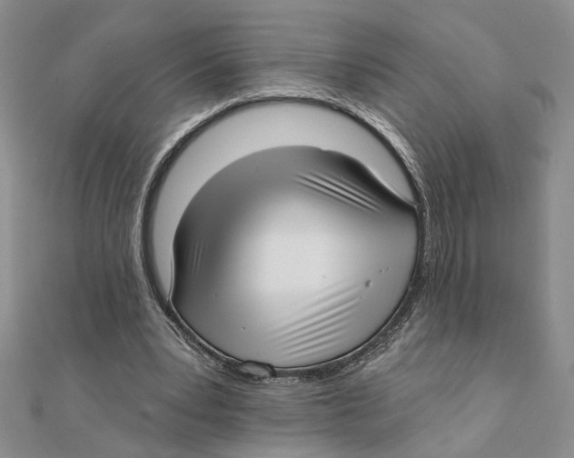 X0000111380391200908071239