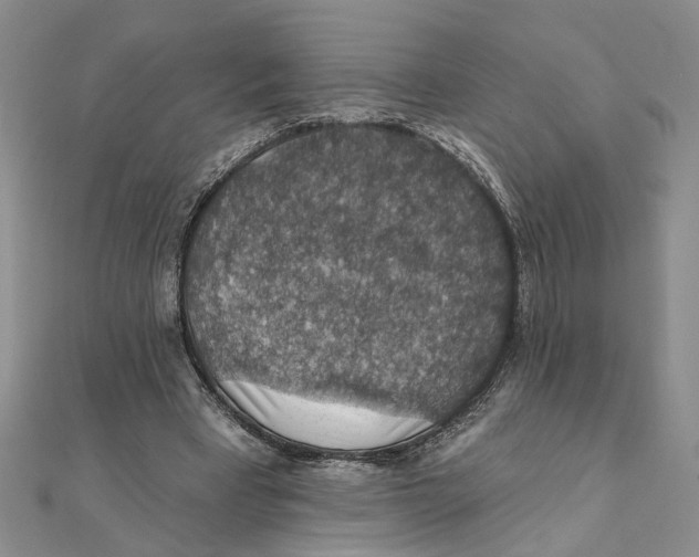 X0000111380393200908071239