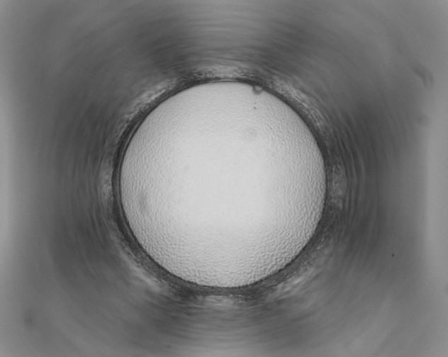 X0000111380394200908071239